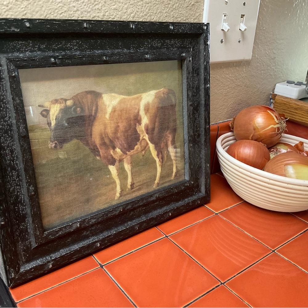 Framed Print of a Bull